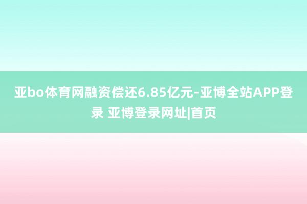 亚bo体育网融资偿还6.85亿元-亚博全站APP登录 亚博登录网址|首页