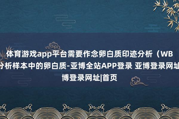 体育游戏app平台需要作念卵白质印迹分析（WB）来分析样本中的卵白质-亚博全站APP登录 亚博登录网址|首页