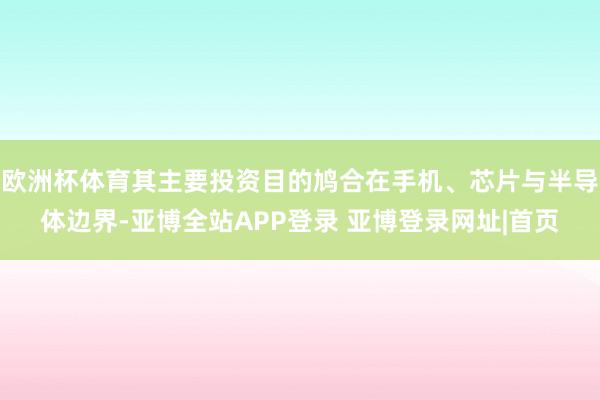 欧洲杯体育其主要投资目的鸠合在手机、芯片与半导体边界-亚博全站APP登录 亚博登录网址|首页