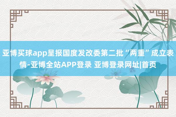 亚博买球app呈报国度发改委第二批“两重”成立表情-亚博全站APP登录 亚博登录网址|首页